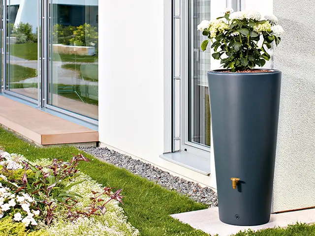 Bepflanzter Wassertank auf der terasse