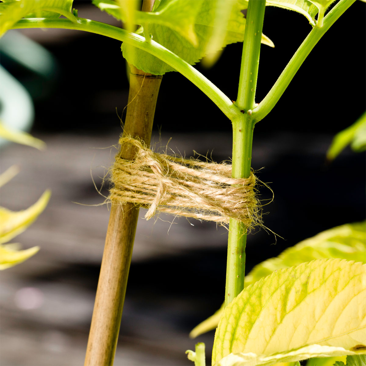 Windhager Flachs Gartenschnur 80m 1,5 mm Bild 3