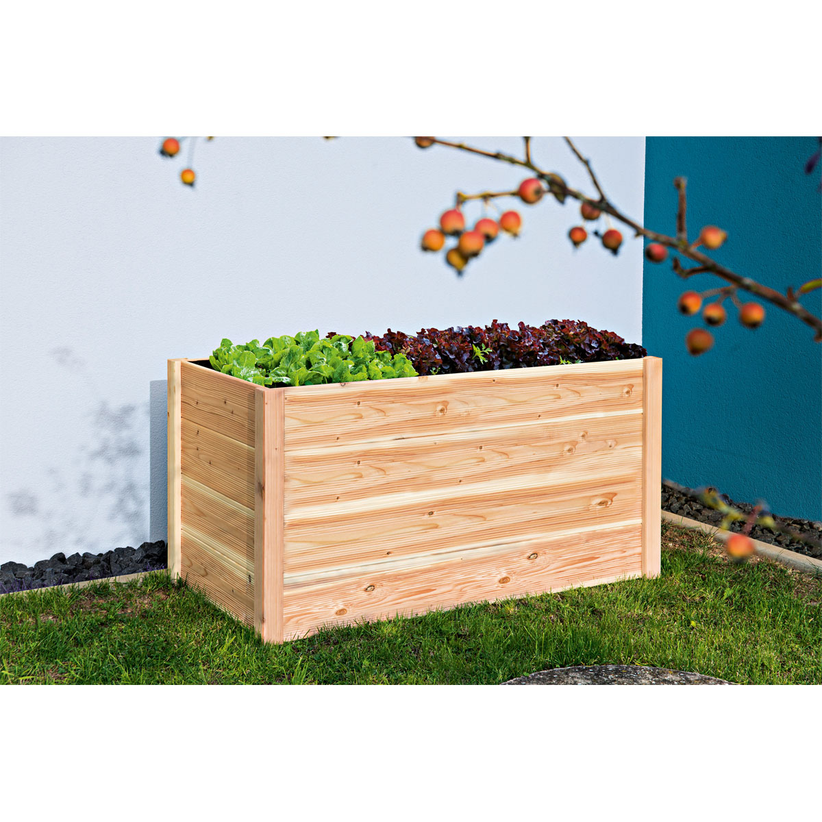Hochbeet Douglasie unbehandelt 209 x 76 x 108 cm Bild 3