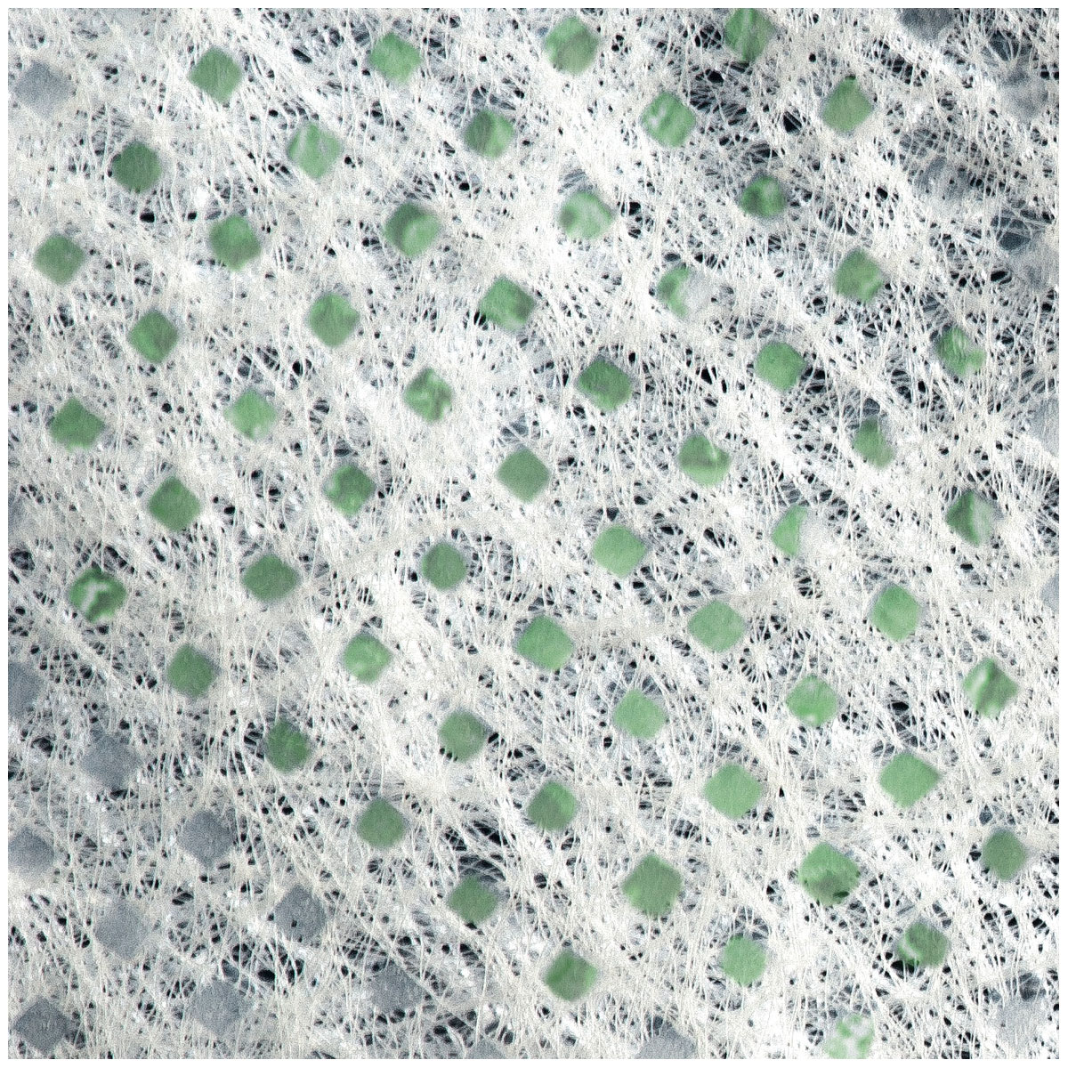 Windhager  Garten-Vlies 10x1,5 m weiß Bild 6