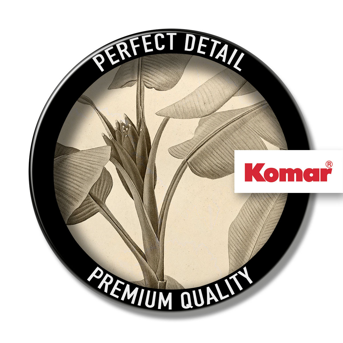 Komar  Selbstklebende Vlies Fototapete rund Banana Plant Durchmesser 125 cm Bild 3