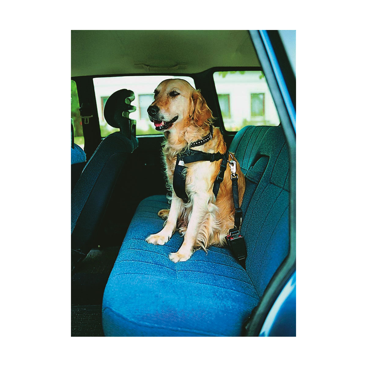 Trixie Auto-Geschirr schwarz S 30-60 cm Bild 3