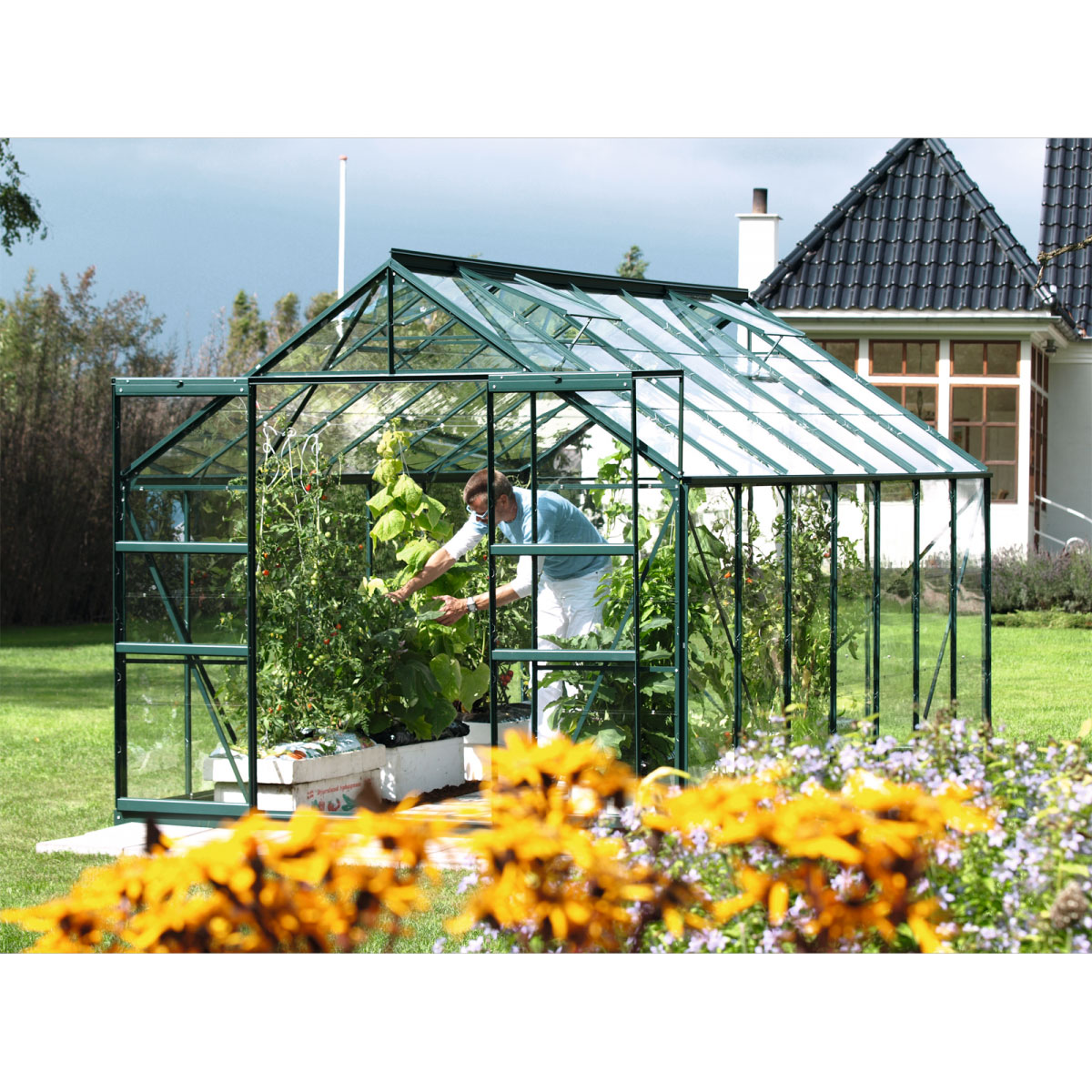 Vitavia Gewächshaus Mars 11500 11,5m² 3 mm Einscheibensicherheitsglas grün Bild 2