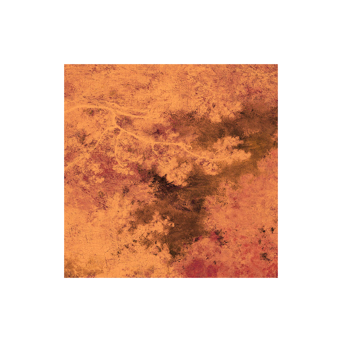 Komar  Vlies Fototapete Autumna 200x280 cm Bild 4