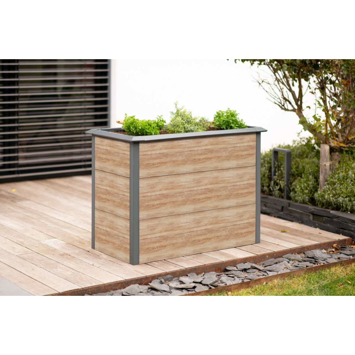 Westmann Hochbeet Primus-Multi M inkl. Schneckenschutz 50x100x77cm