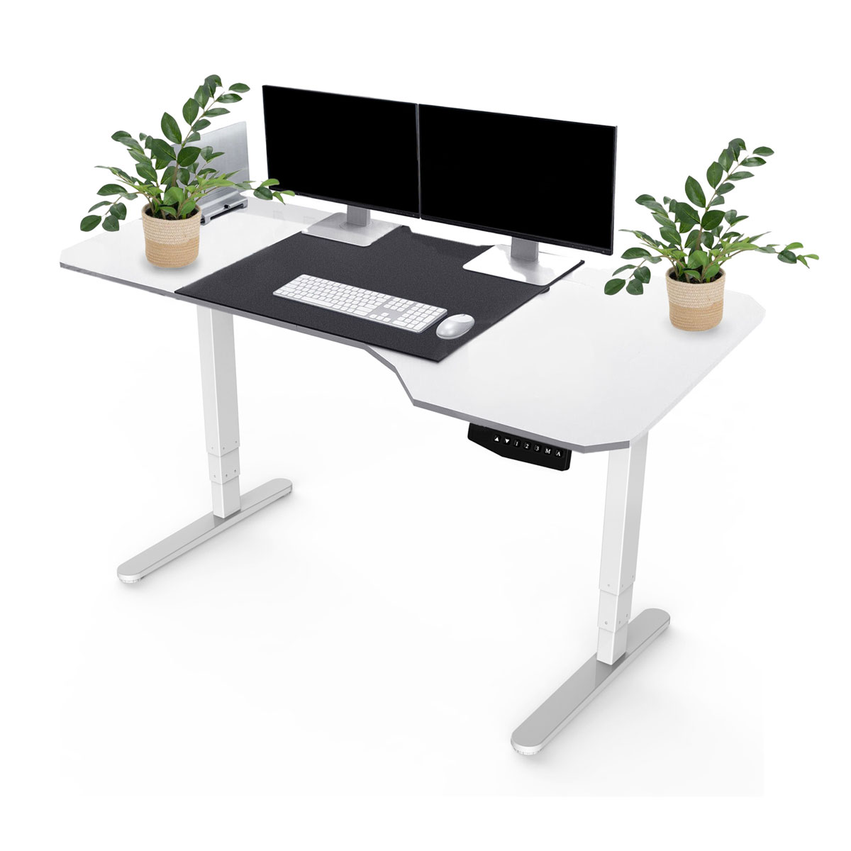 Better Home elektrisch höhenverstellbares Schreibtischgestell FlexiDesk DM2 Dual Motor Bild 2