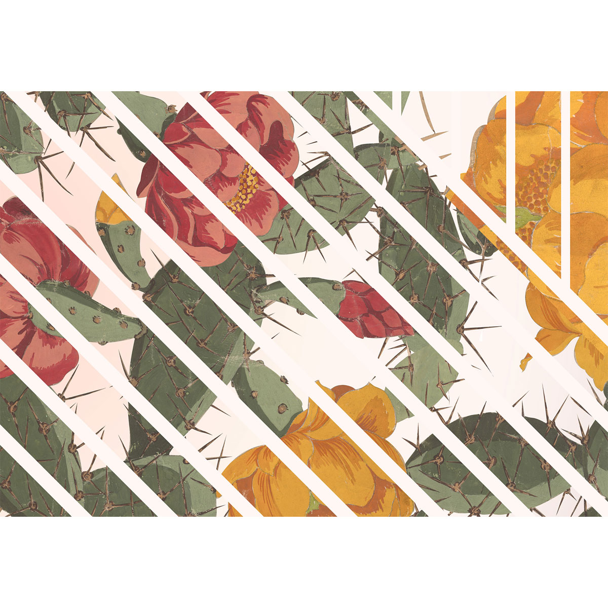 Komar  Vlies Fototapete Cactus 300x280 cm Bild 3