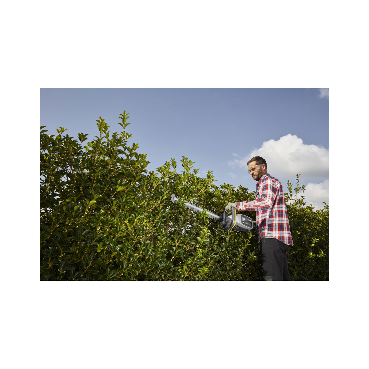 Alpina-Garden Akku-Heckenschere-Set AHT 48 Li 48V 3-teilig Bild 2