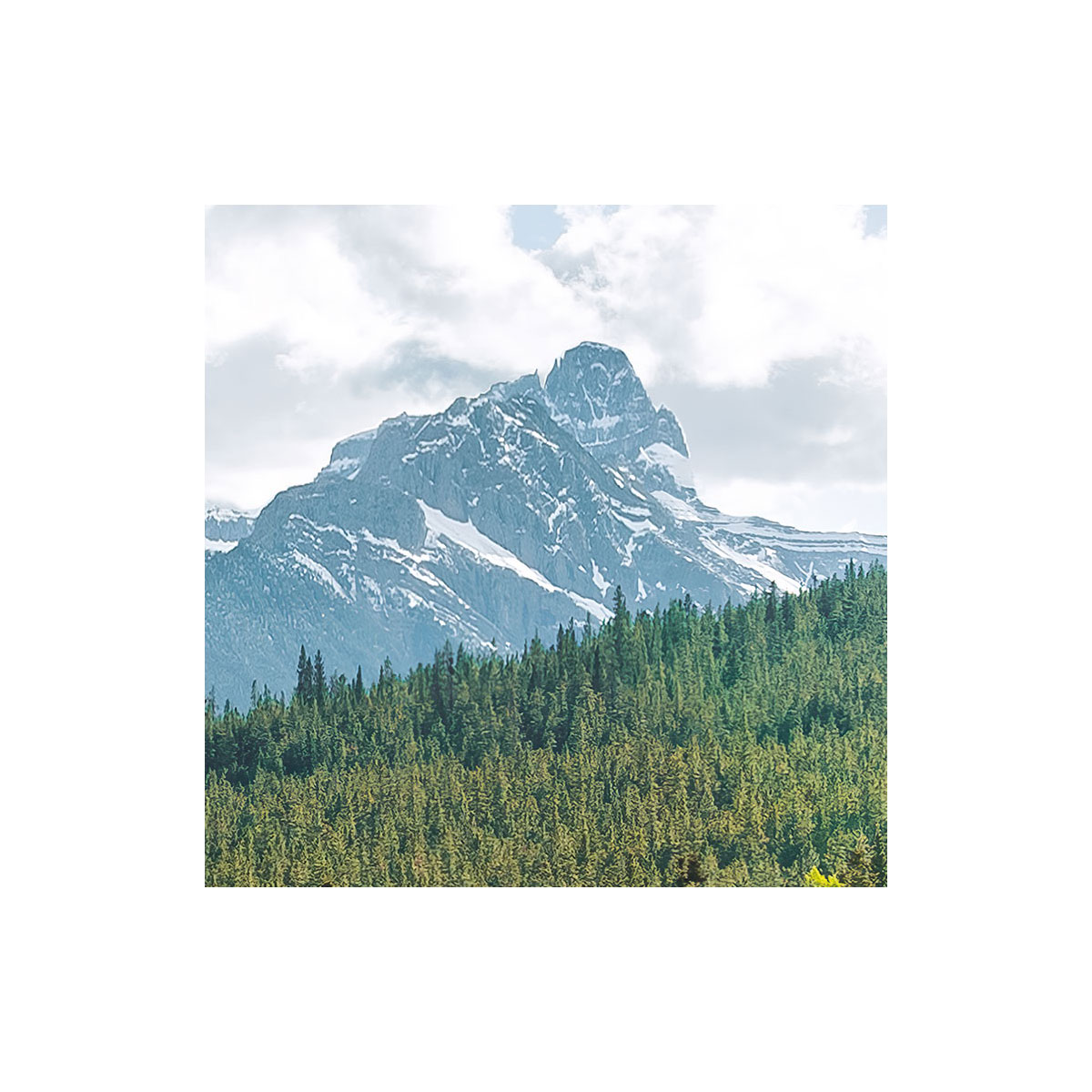 Komar  Vlies Fototapete Wild Canada 450x280 cm Bild 7