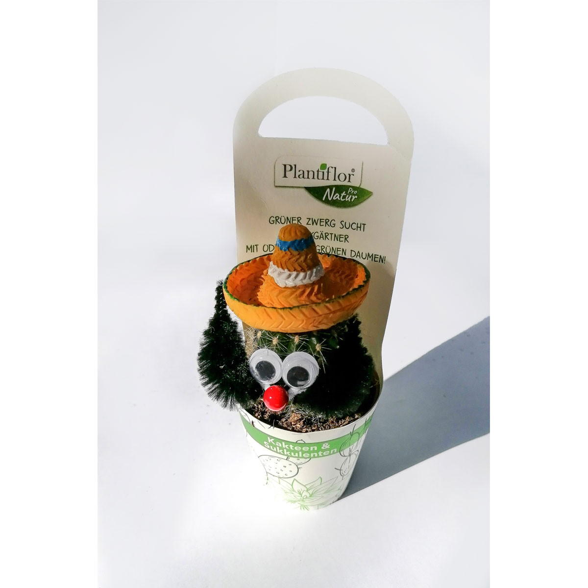 Plantiflor Kaktus-Mix mexikanisch T5,5