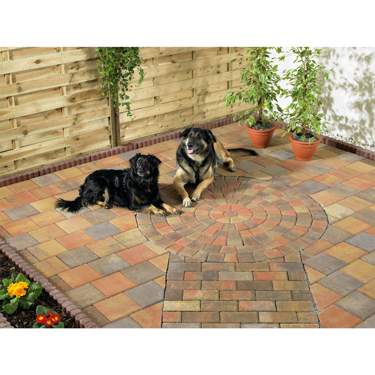 Lusit  Pflastersteine 20 x 10 cm weinlaub Bild 3