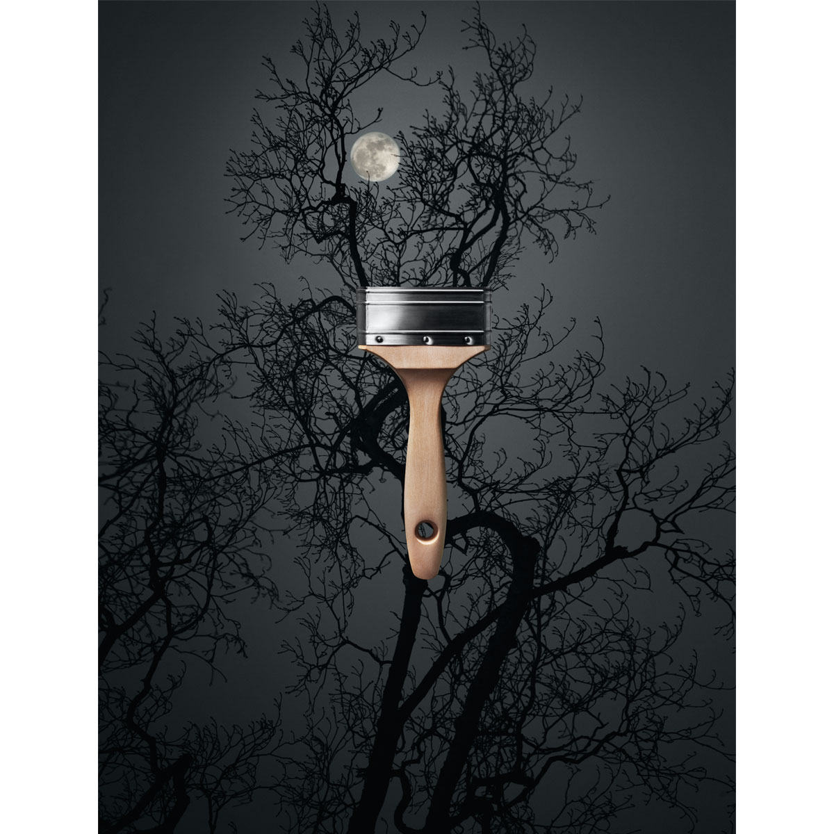 Schöner Wohnen Farbe Trend Wandfarbe Luna matt 2,5 L Bild 3