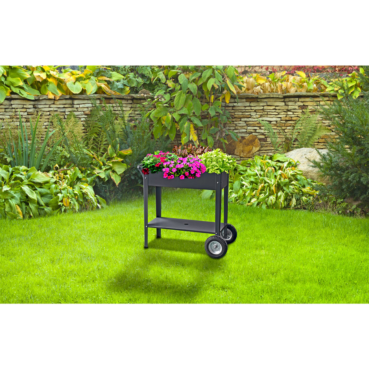 Wingart Hochbeet mit Rädern 80 x 85 x 50 cm Bild 2