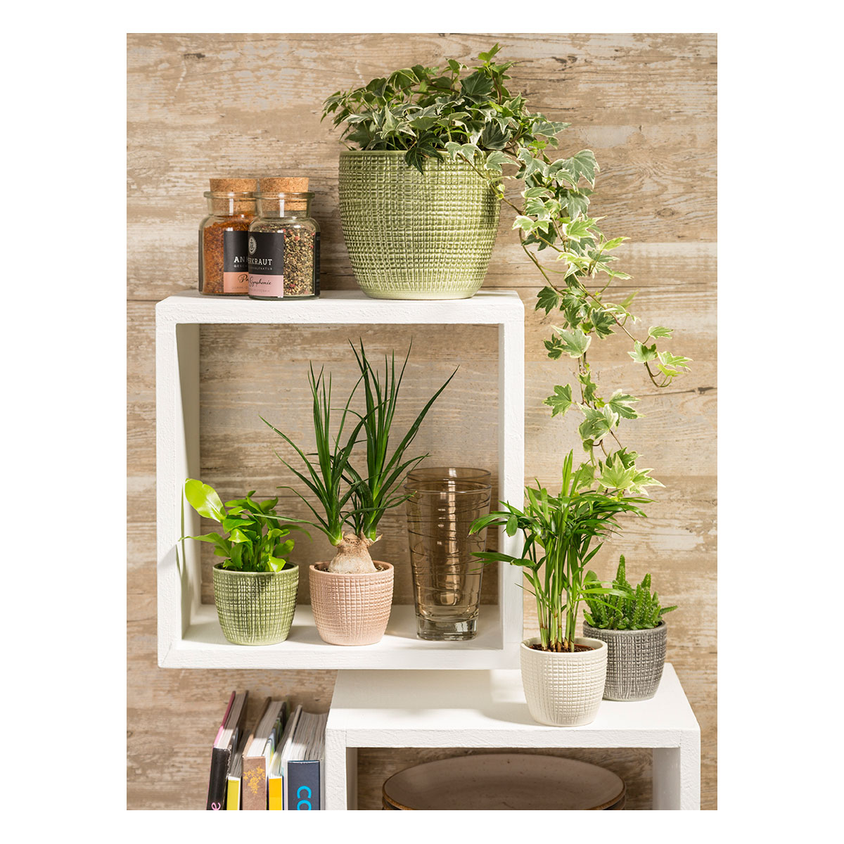 Scheurich Übertopf Corteza Panna 866 25 cm Bild 2