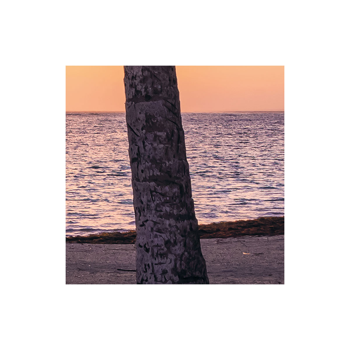 Komar  Vlies Fototapete Palmtrees on Beach 200x250 cm Bild 7