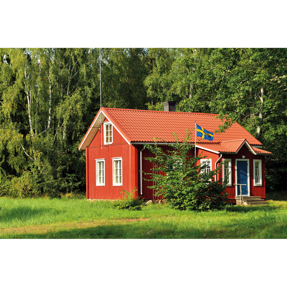 Vincent  HolzschutzPremium Wetterschutzfarbe MIX IT! 0,75 l Bild 3