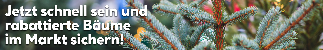 Weihnachtsbaumabverkauf Banner