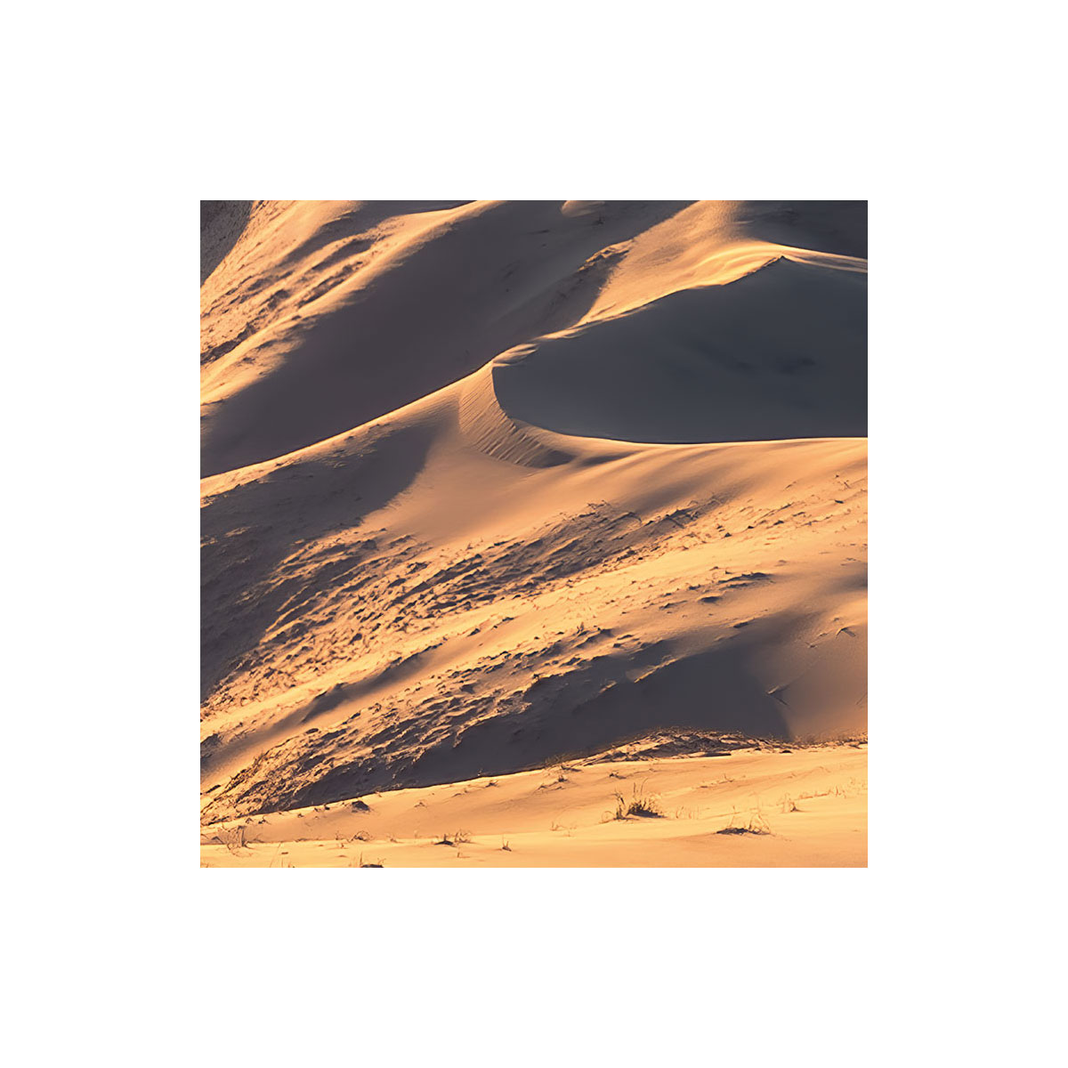 Komar  Vlies Fototapete Mojave Heights 450x280 cm Bild 5