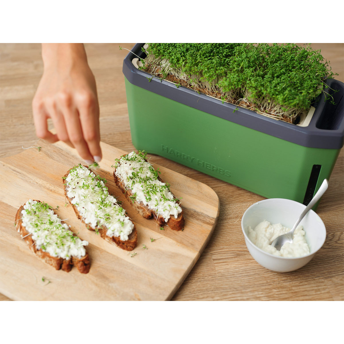 Anzuchtgefäß Harry Herbs mit Deckel dunkelgrün Bild 4