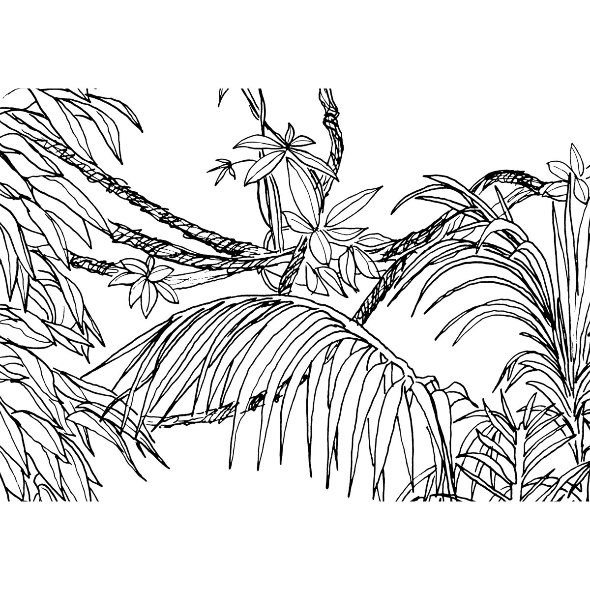 Komar  Vlies Fototapete Blanca 400x280 cm Bild 5