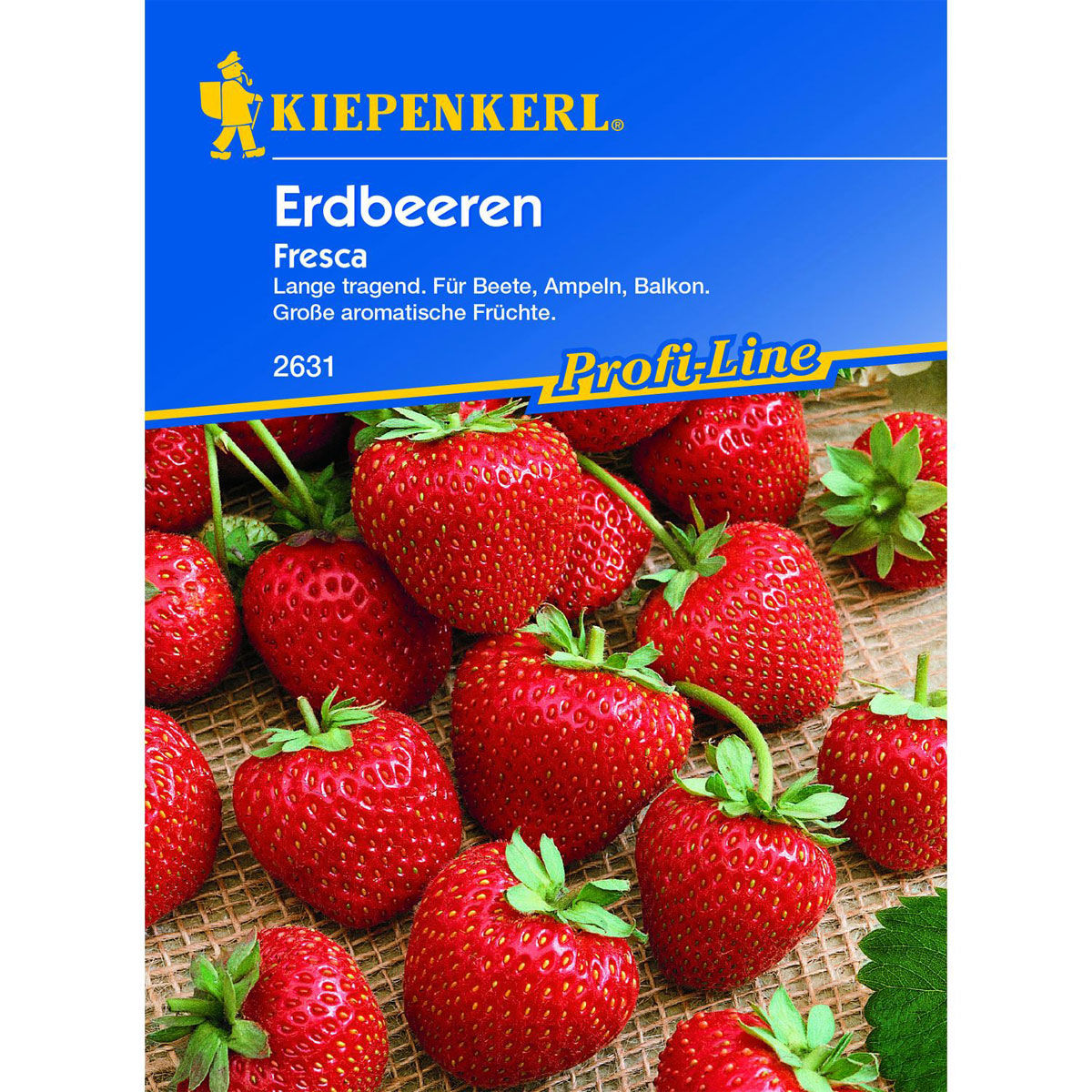 Kiepenkerl Erdbeeren Fresca