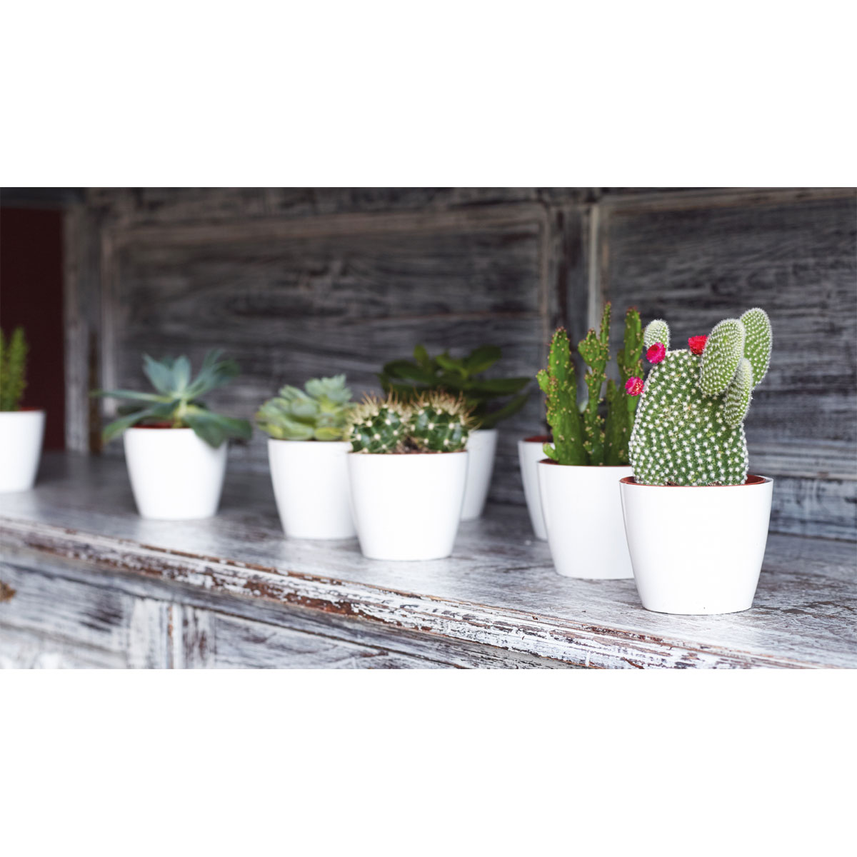 Übertopf San Remo Pot 14 cm transparent Bild 3