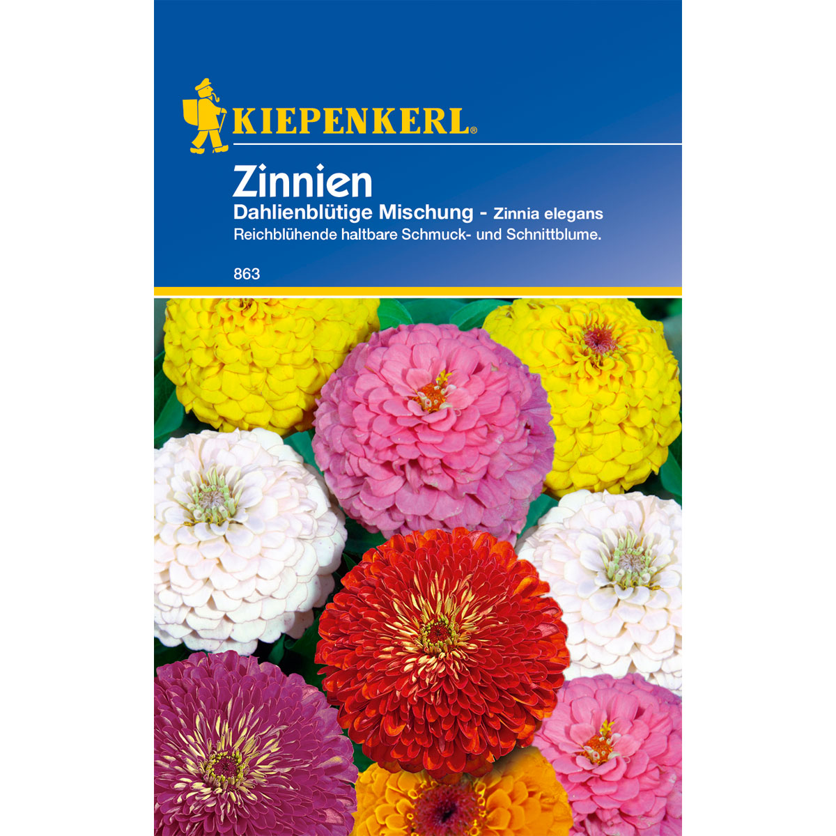 Kiepenkerl Zinnia Dahlienblütige Mischung Bild 1