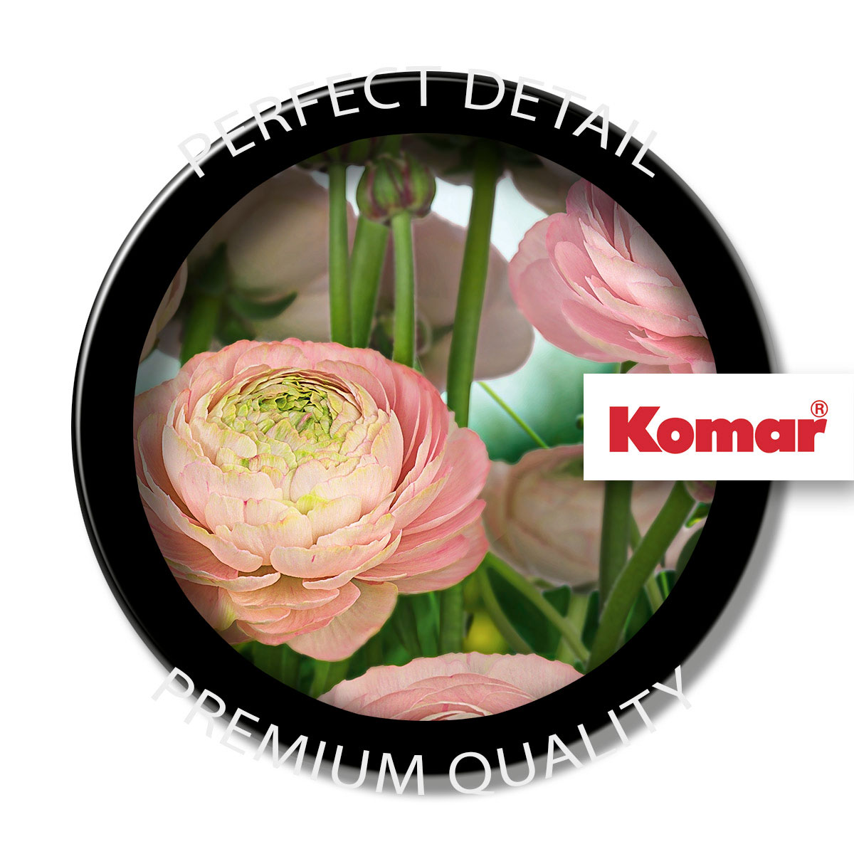 Komar  Papier Fototapete Gentle Rosé 368x254 cm Bild 4