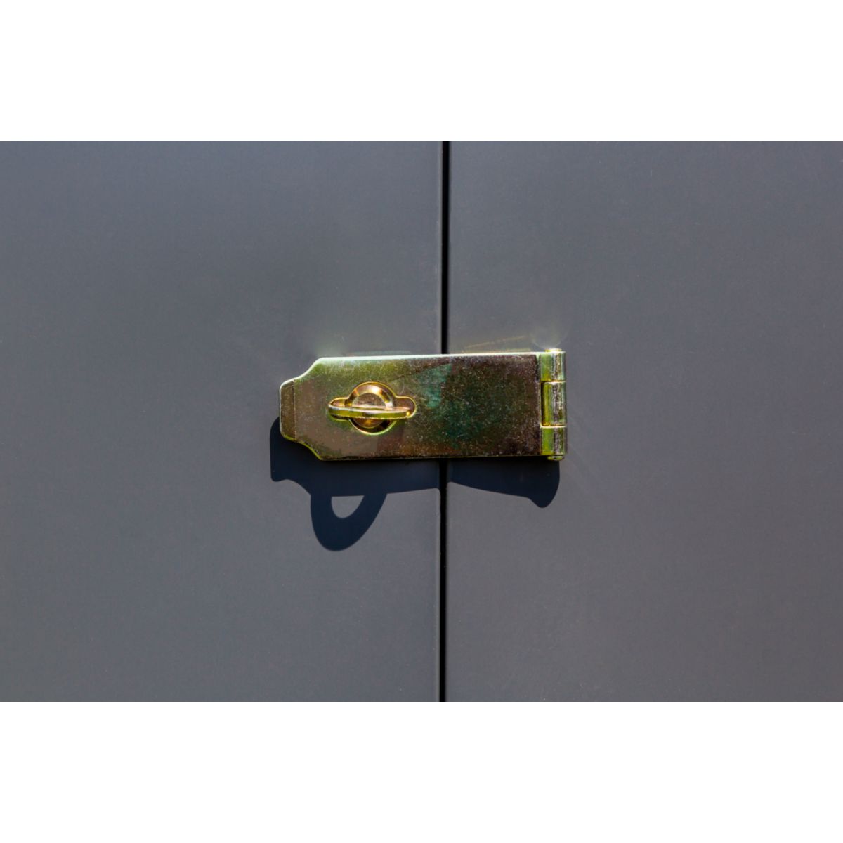 Gerätehaus Spacemaker 47 124x203x208 cm Bild 4