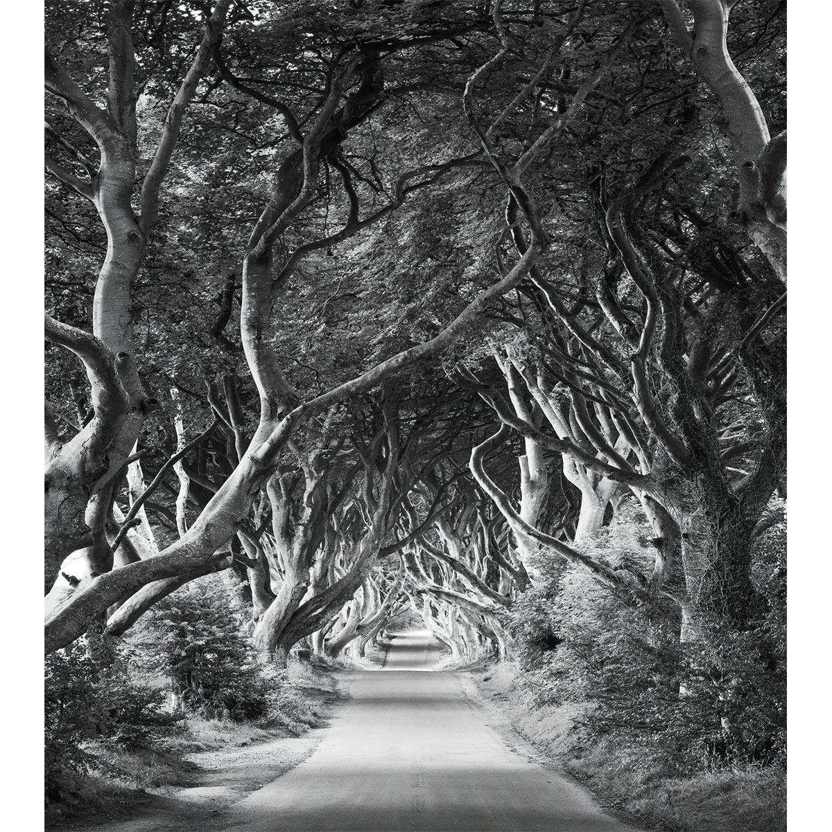 Komar  Vlies Fototapete Forevenue 250x280 cm Bild 2