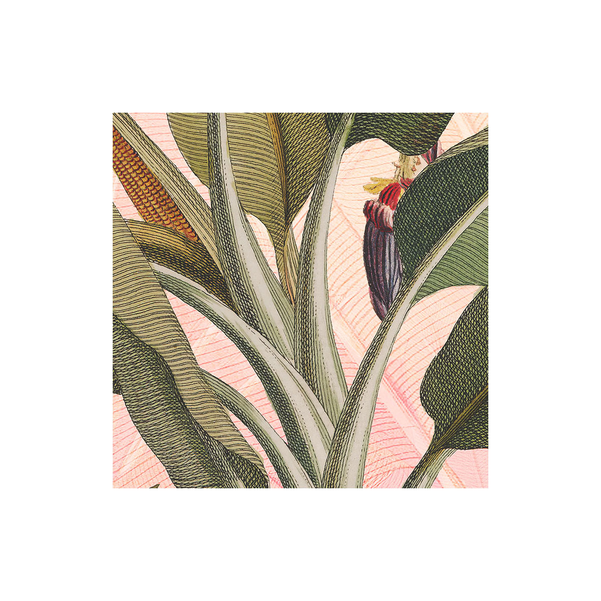 Komar  Selbstklebende Vlies Fototapete rund Botany Durchmesser 125 cm Bild 5