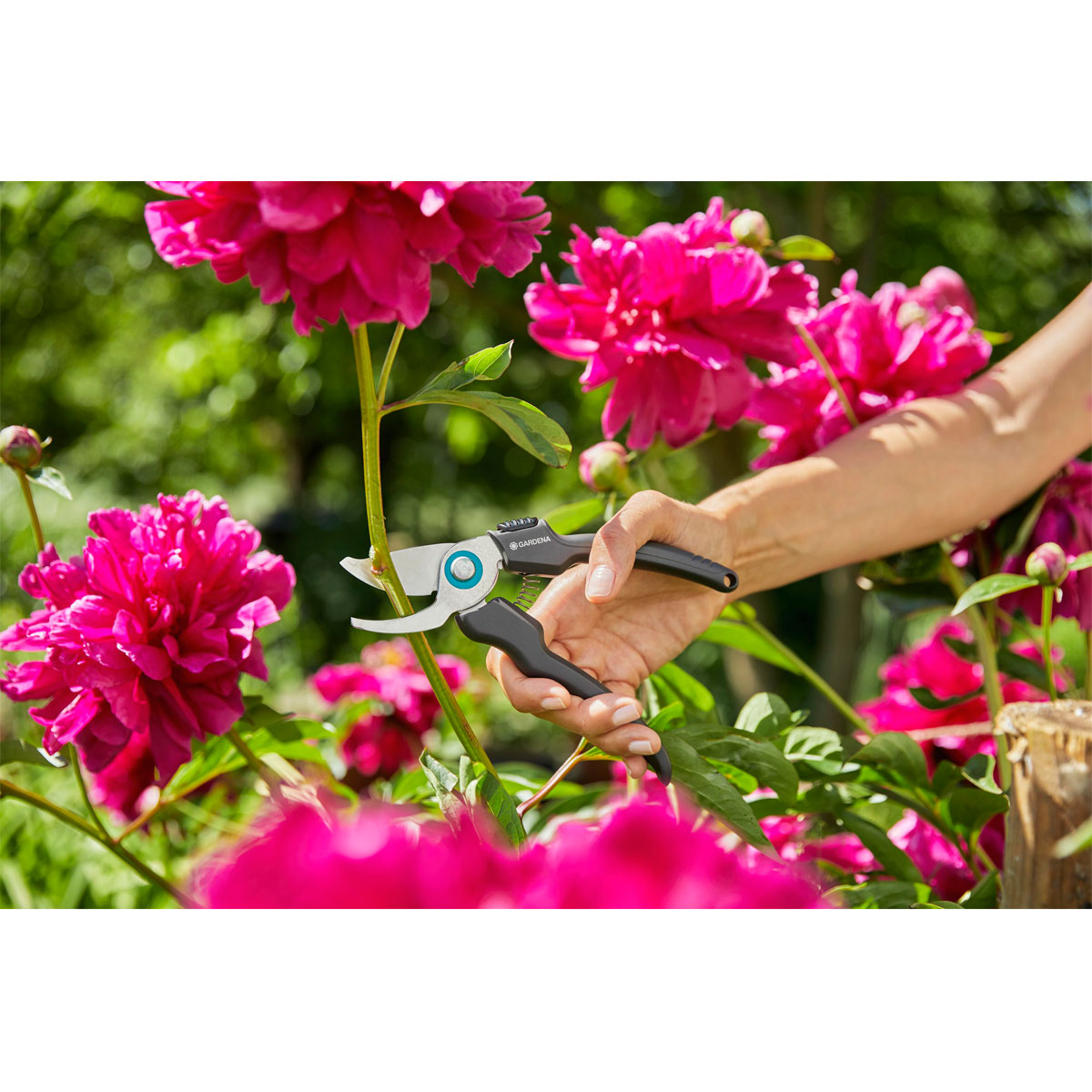 Gardena  Gartenschere EcoLine Bild 4