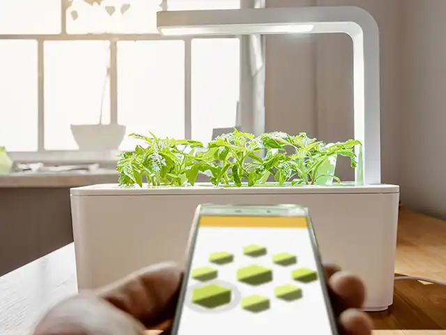 Ein intelligenter Indoor-Garten steht auf einem Tisch bei Tageslicht.