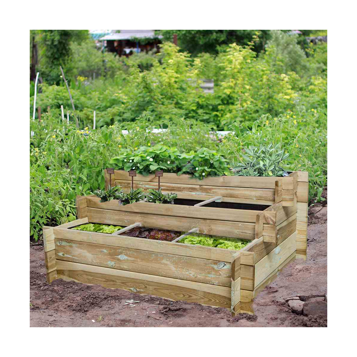 Siena Garden Hochbeet-Treppe Hugo 120 x 100 x 54 cm kesseldruckimprägniert inkl Geotextil Bild 2