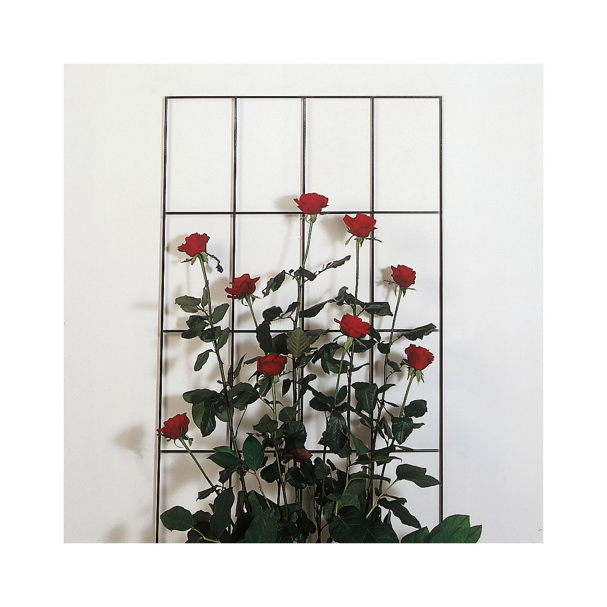 Windhager Gitterspalier 145 x 57 cm weiß Bild 3