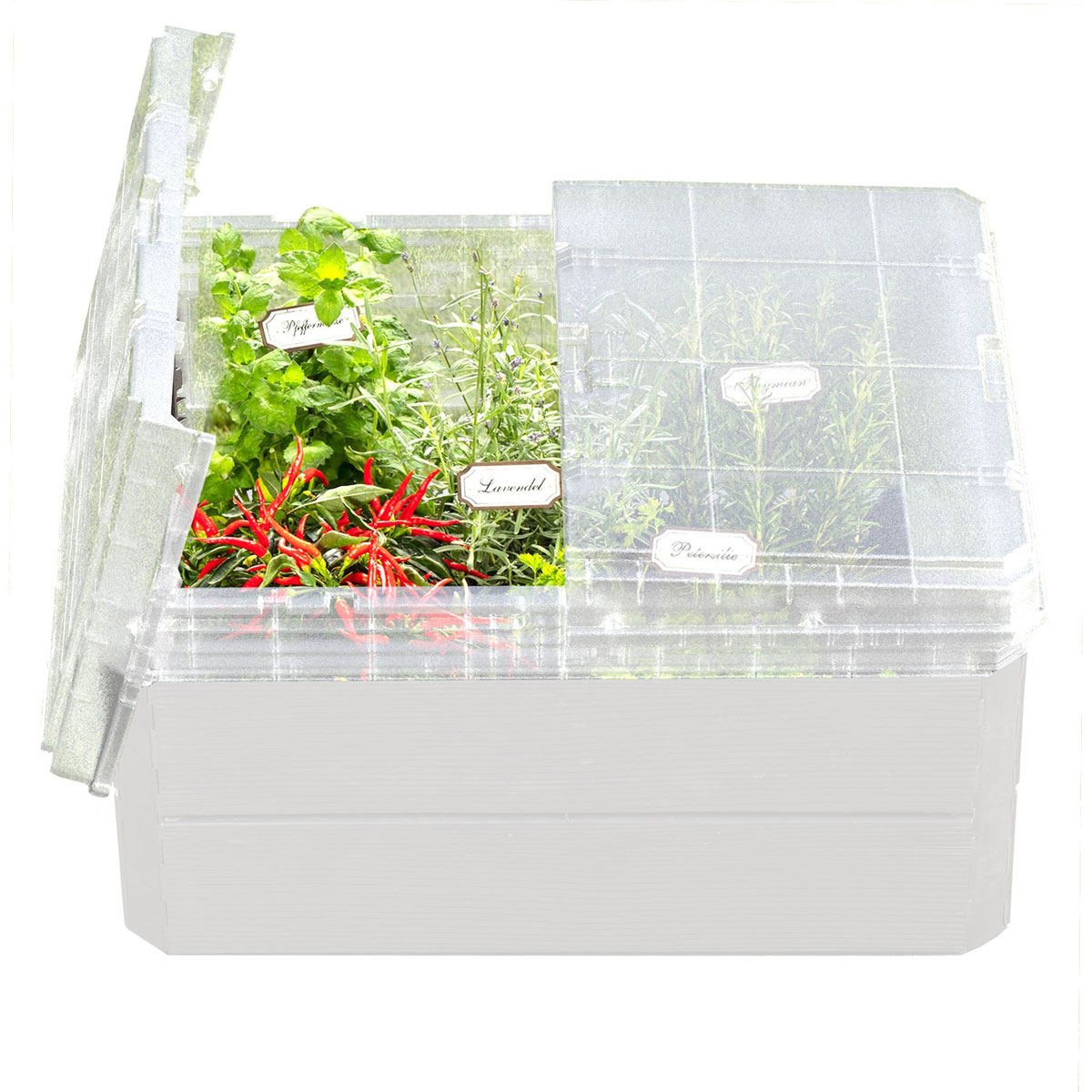 Garantia Frühbeet-Aufsatz Ergo Quadro M für Hochbeet-System Bild 4