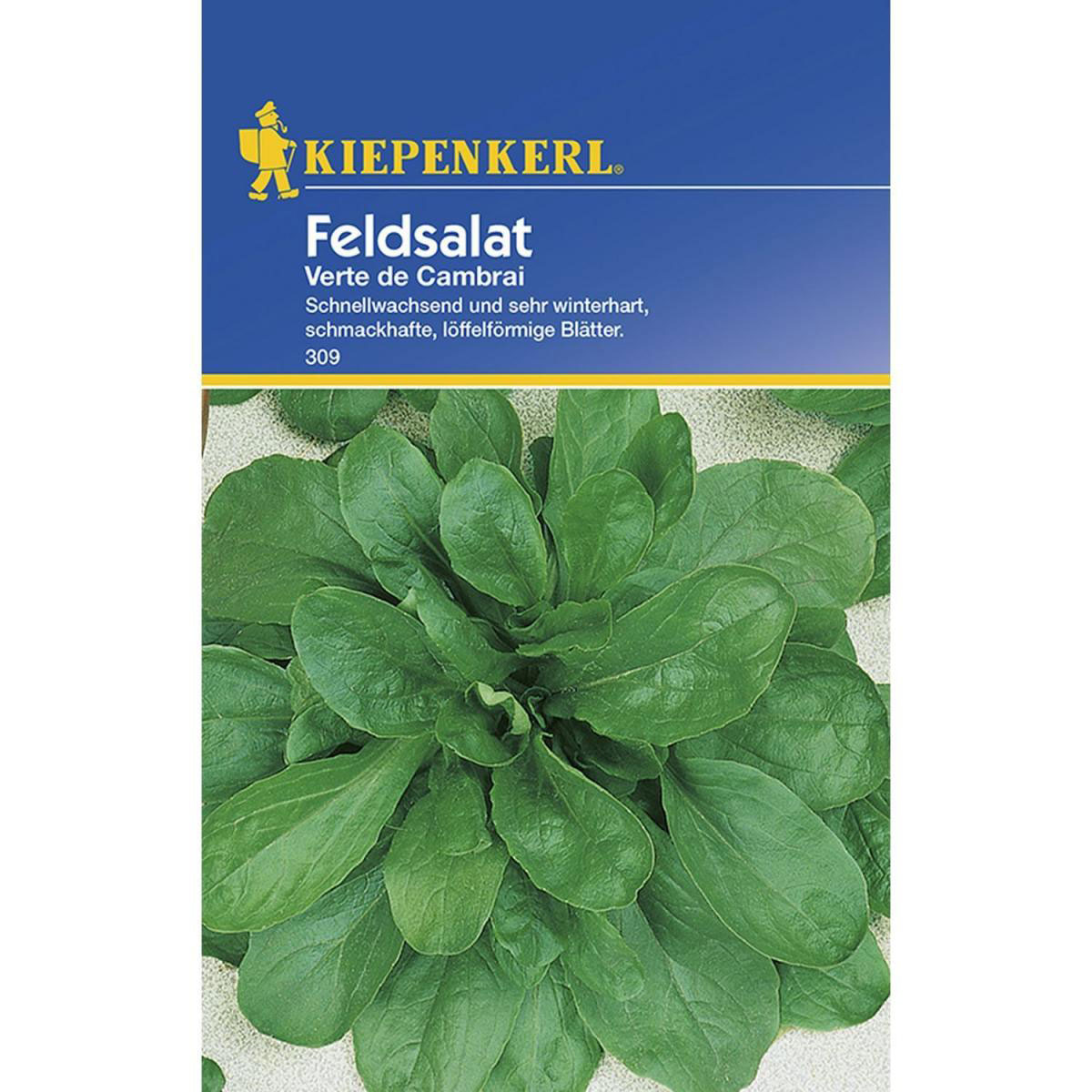 Kiepenkerl Feldsalat Verte de Cambrai