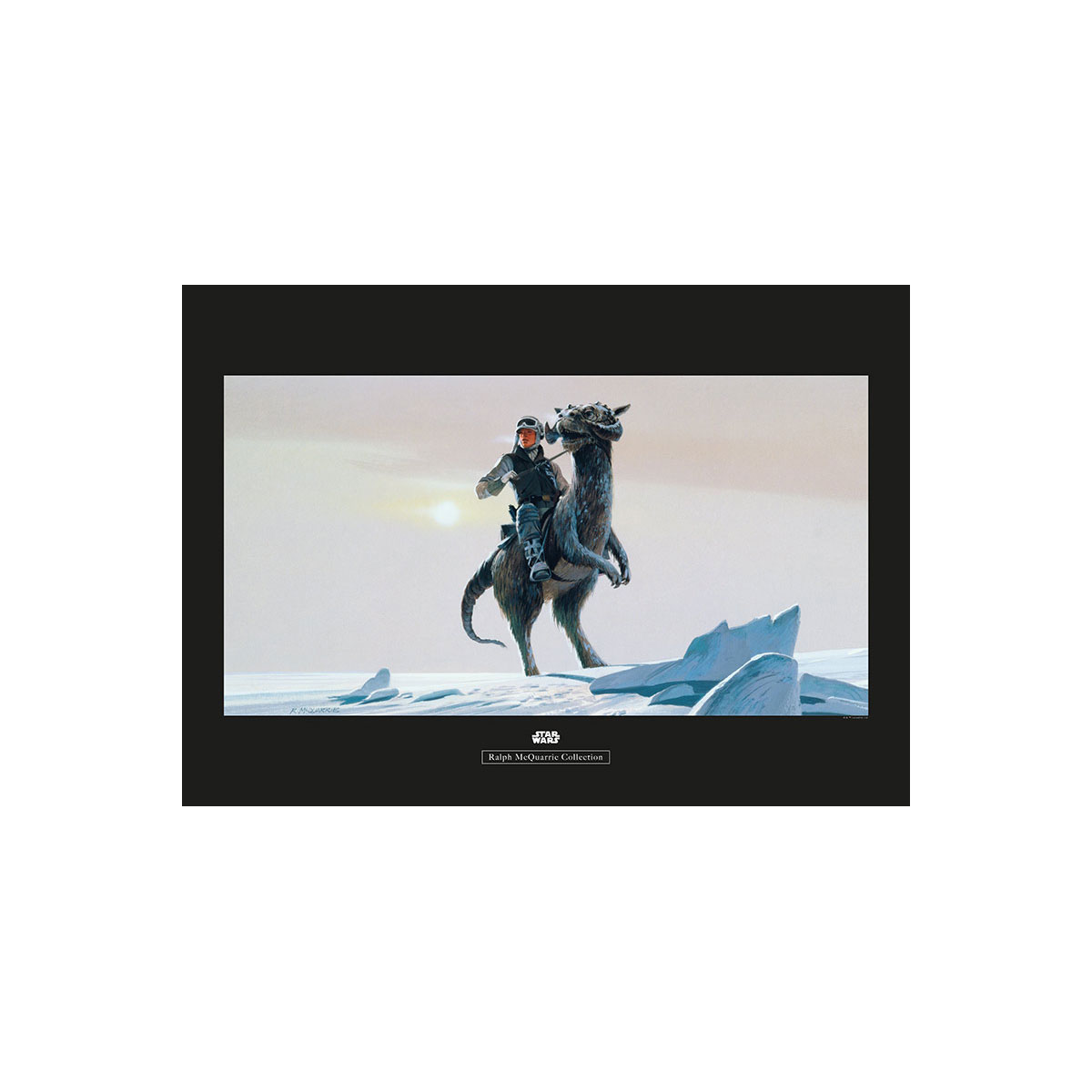 Komar  Wandbild Star Wars Classic Hoth Tauntaun 50x40 cm Bild 2