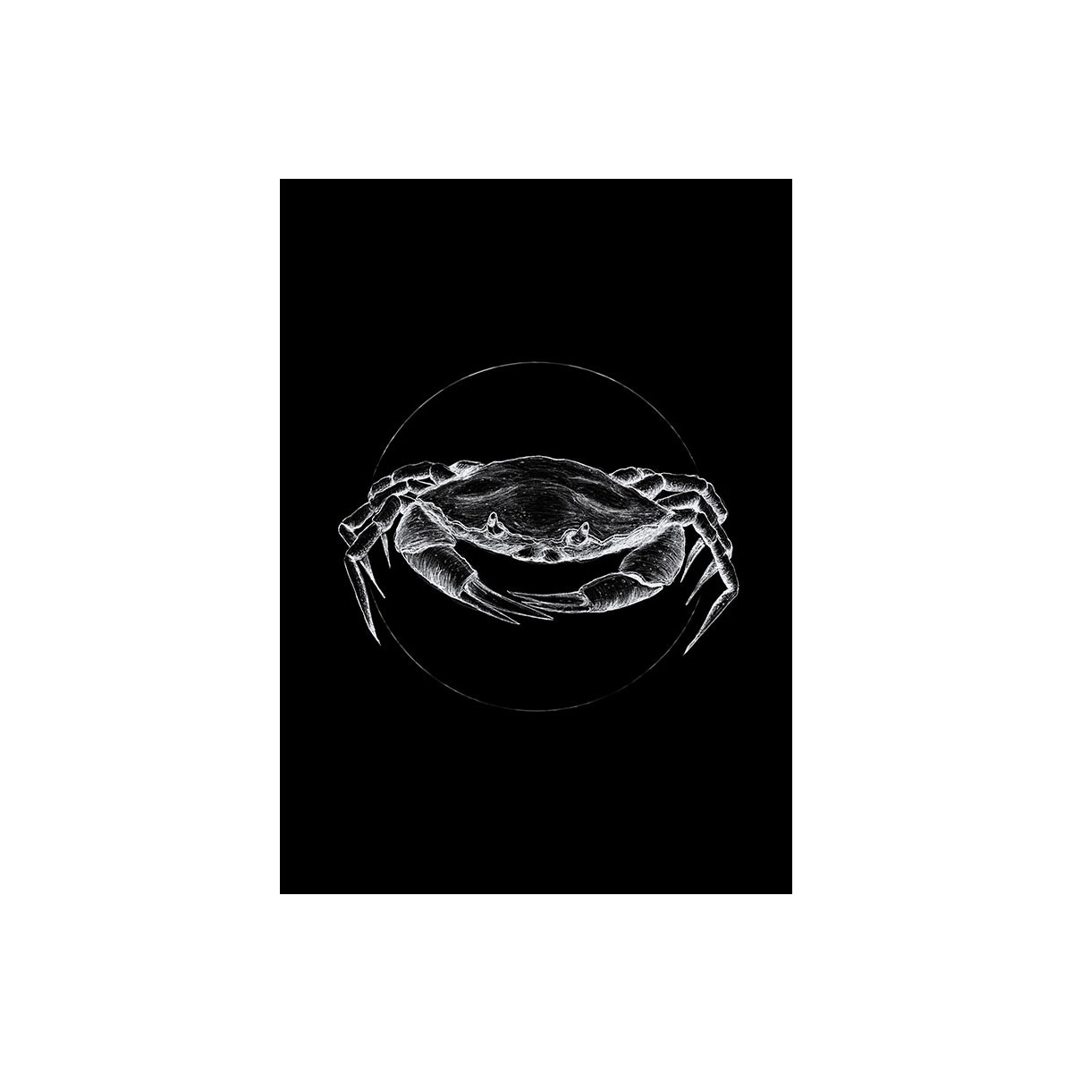 Komar  Wandbild Crab Black 30x40 cm Bild 2
