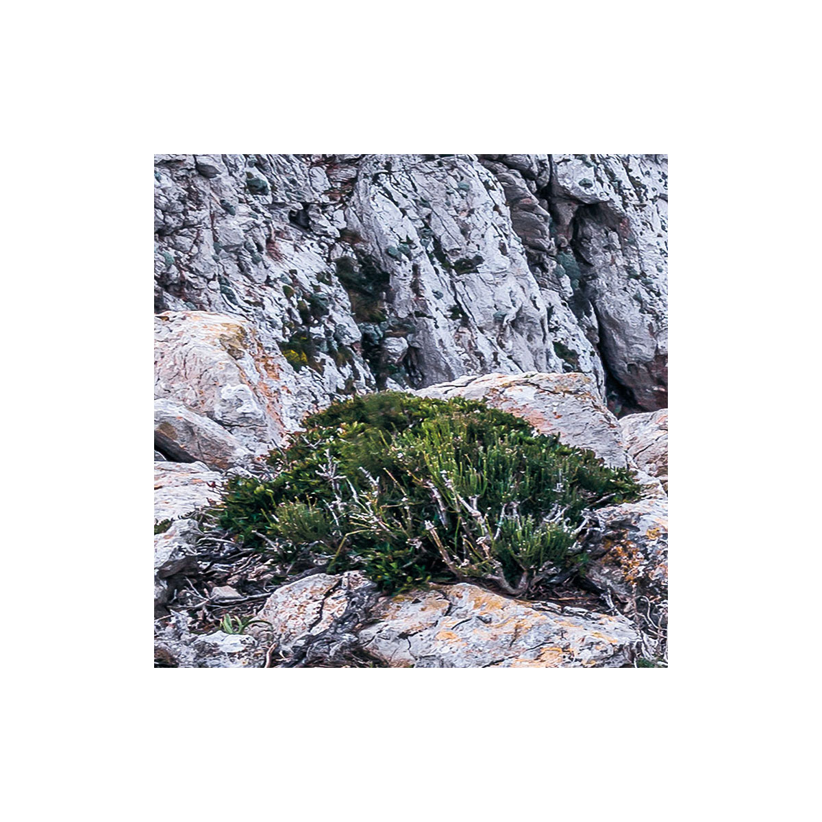 Komar  Vlies Fototapete Bizarre Coast 200x250 cm Bild 4