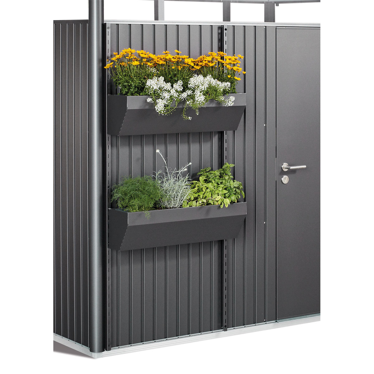 Biohort Blumenkasten FloraBoard dunkelgrau-metallic