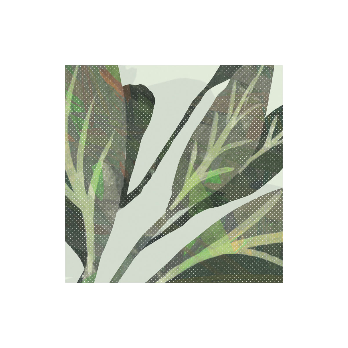 Komar  Vlies Fototapete Hay Meadow 400x250 cm Bild 8