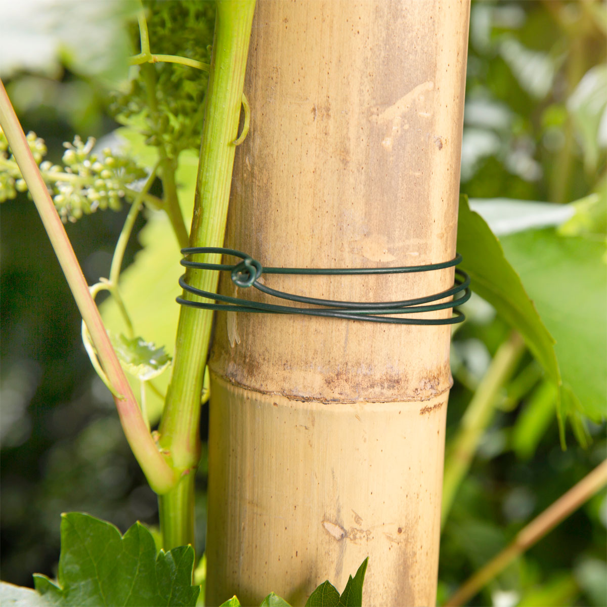 Windhager Gartendraht 60m 1,4 mm grün Bild 2