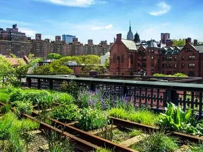 Pflanzen wachsen auf einer erhöhten Bahntrasse, umgeben von städtischen Gebäuden und blauem Himmel.