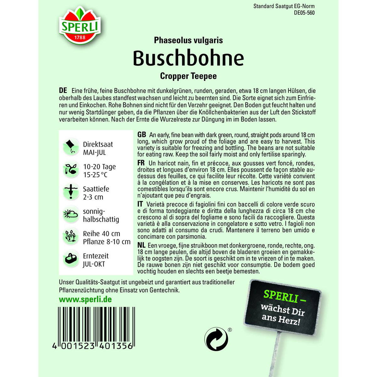 Buschbohne Cropper Teepee Bild 2