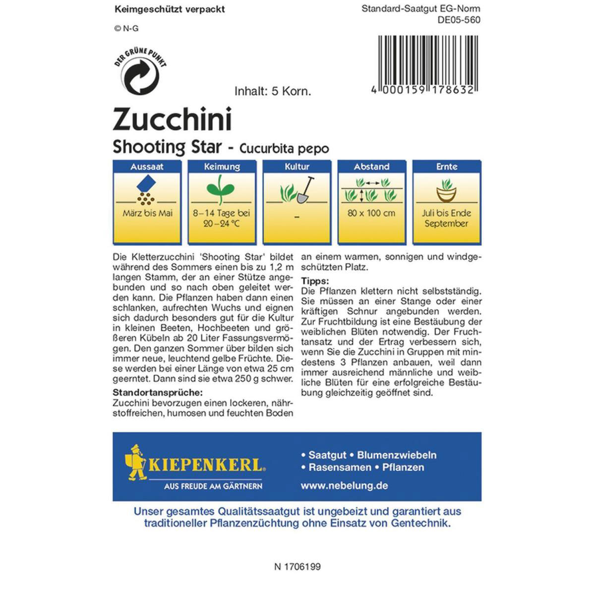 Kiepenkerl Zucchini Shooting Star Bild 2