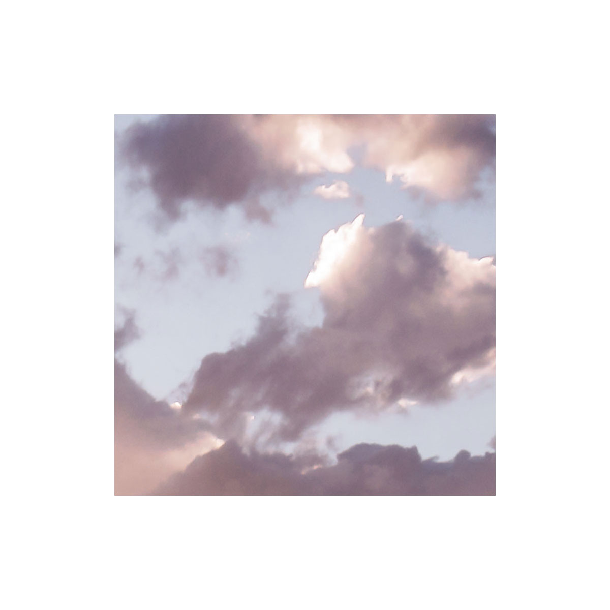 Komar  Vlies Fototapete Gently Touched 400x250 cm Bild 7