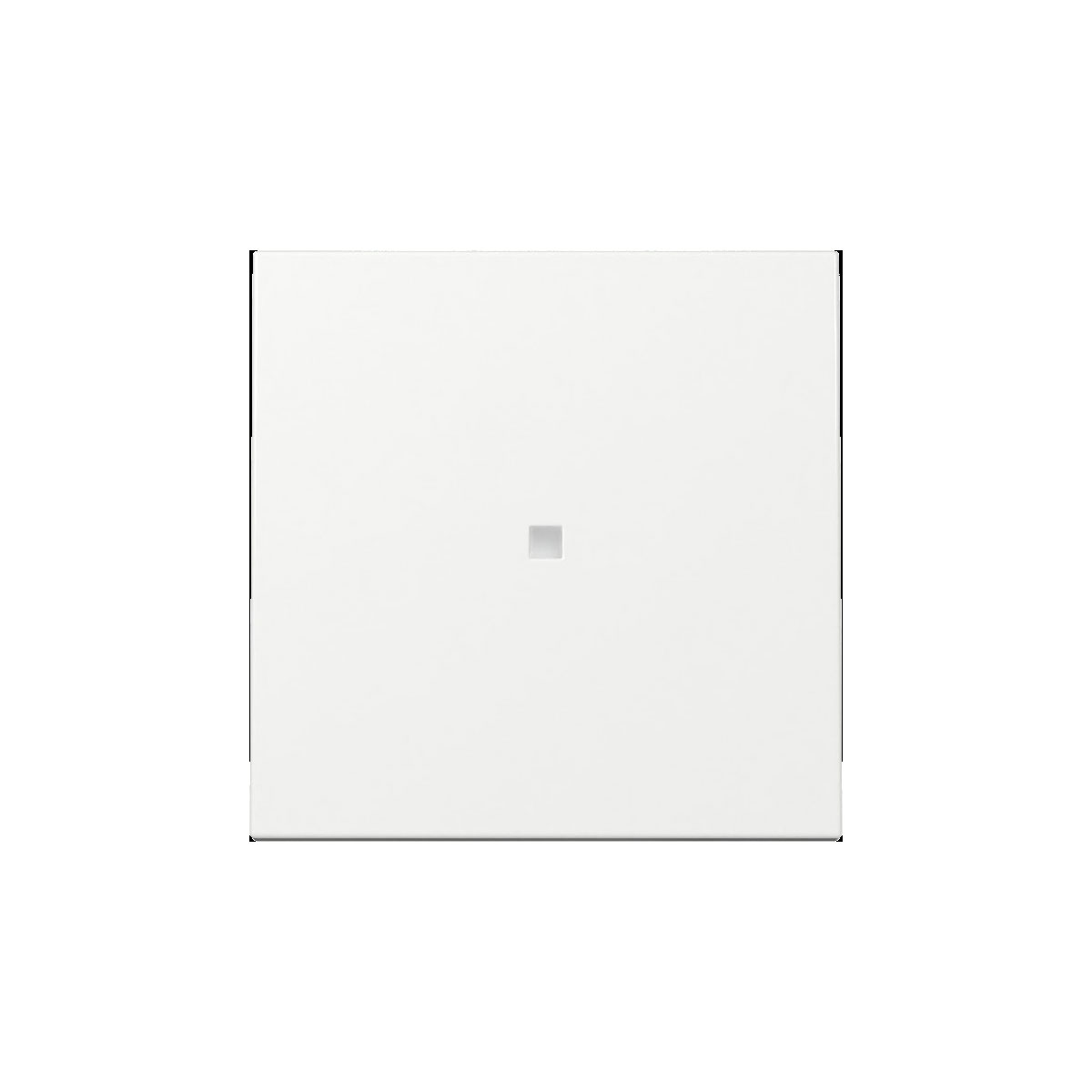 Gira  Wippe Kontrollf. System 55 Reinweiß