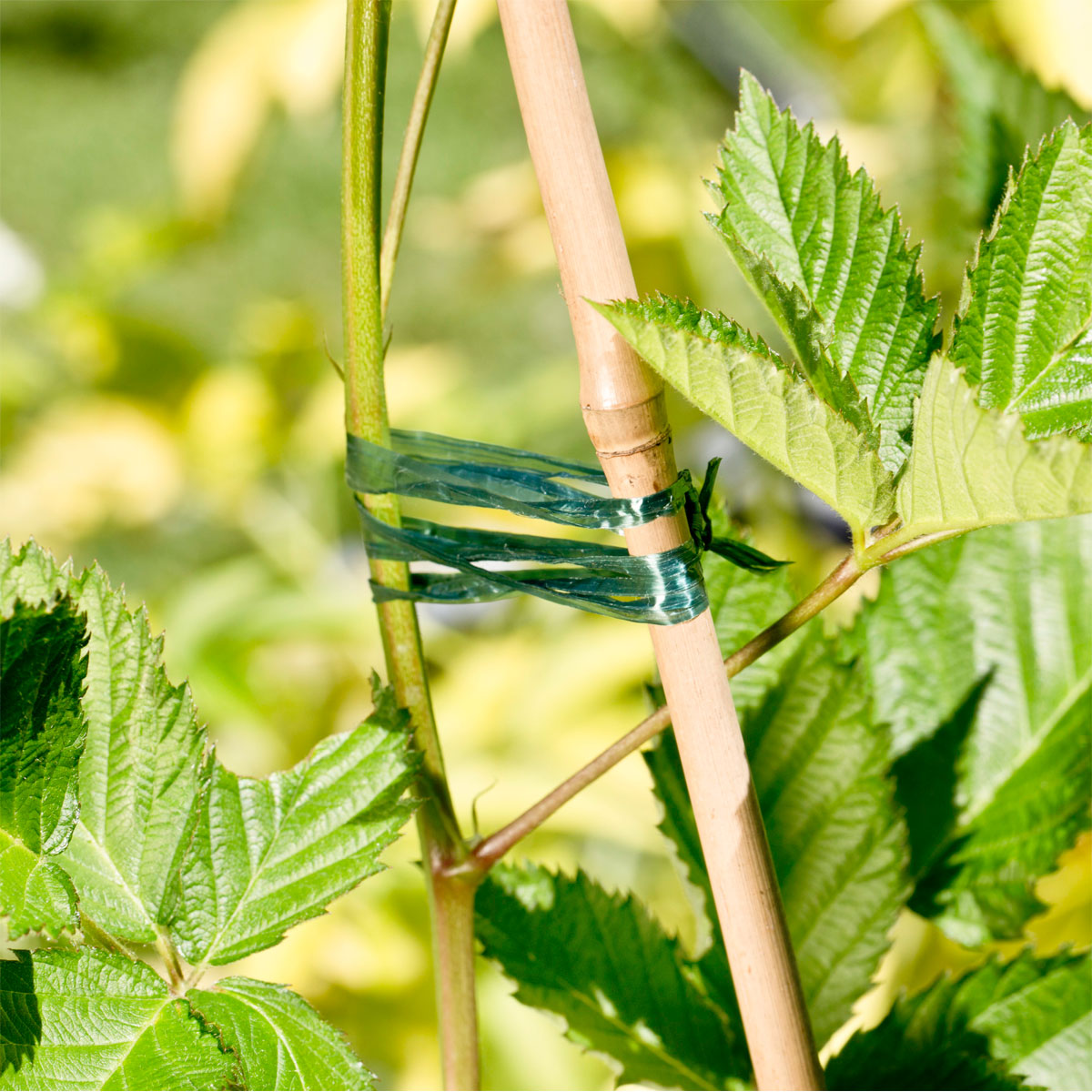 Windhager  Kunstbast 400 m Bild 1