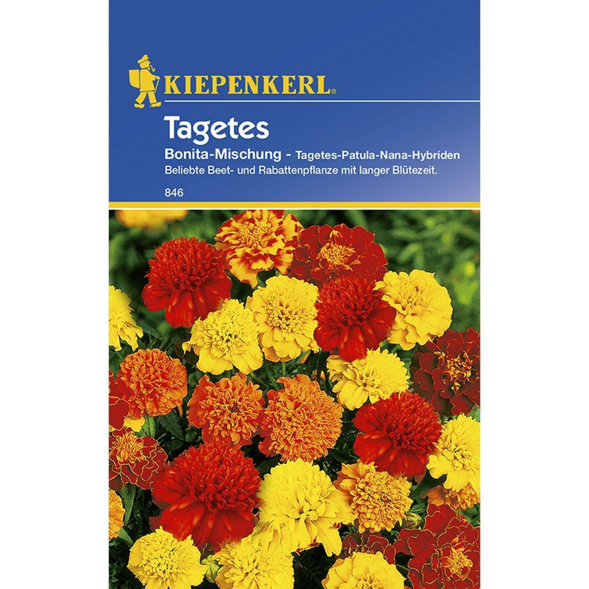 Kiepenkerl Tagetes Bonita-Mischung